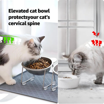 Elevated Stainless Steel Cat Bowl – 15° Tilted Ergonomic Design, Whisker-Friendly Wide Dish, Anti-Slip Base, Raised Cat Feeding Bowl for Better Digestion